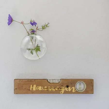 Dorfhaus1953 בית נופש אסלוה